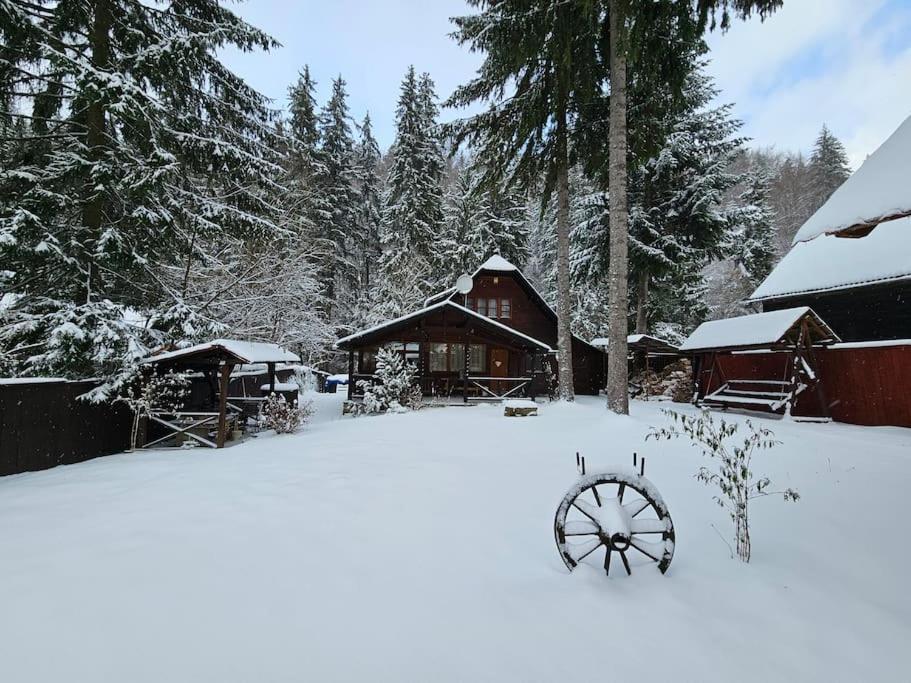 Fabian Kulcsoshaz Villa Izvoare  Exteriör bild